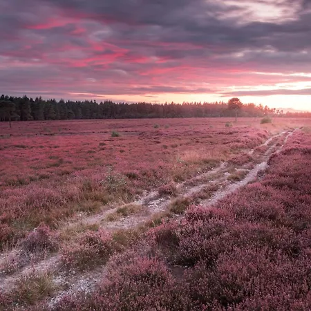 Casa vacanze Sunshine *